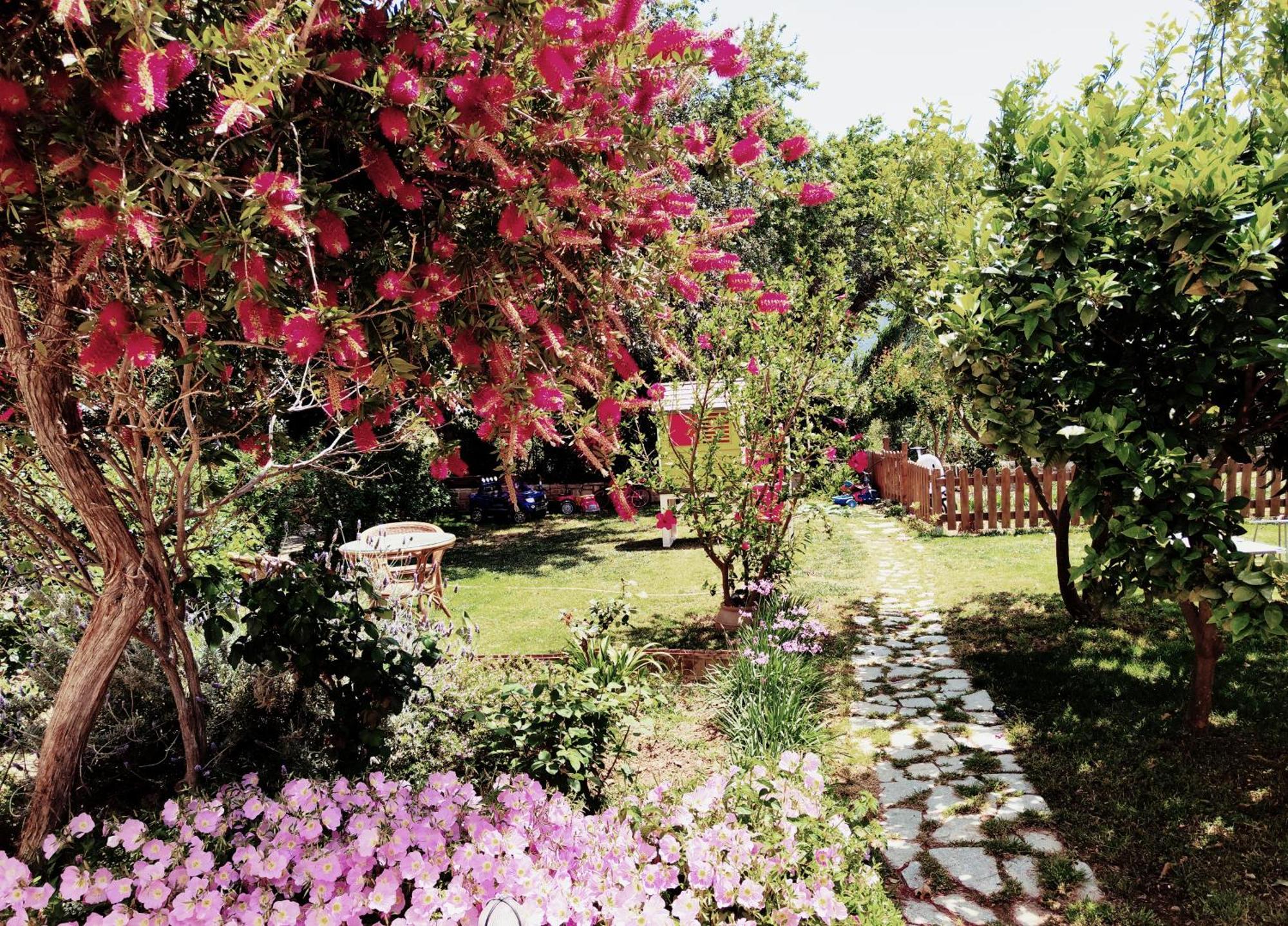 Plakias River Apartment Εξωτερικό φωτογραφία